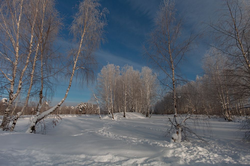 Photograph by Ольга Денисова