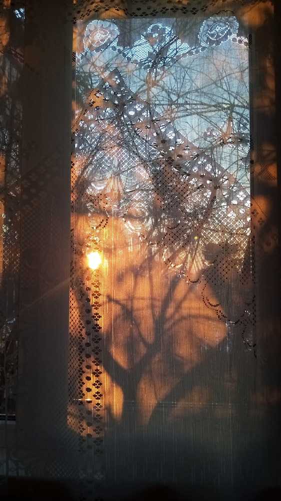 Photograph by Элина Ровенская