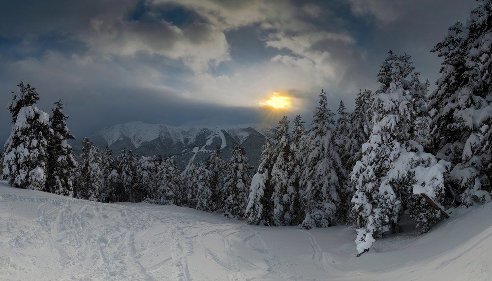 Photograph by Валерий Одинцов