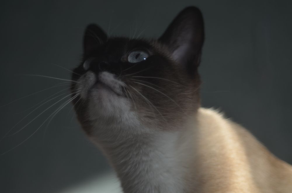 Photograph by Valentina