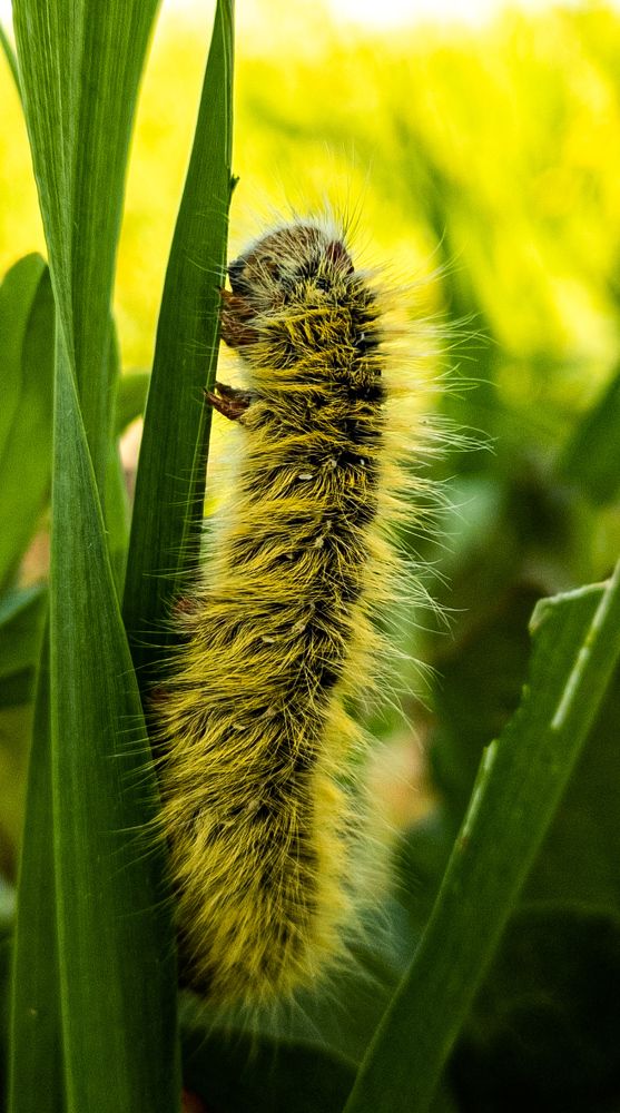 Photograph by Anass Aouissi