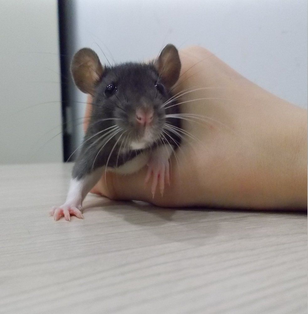 Фотография автора Maria