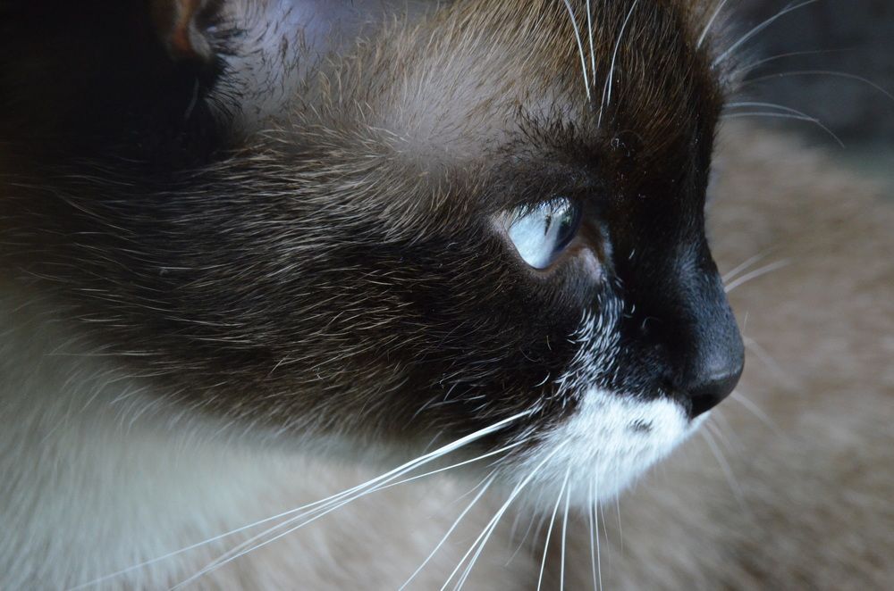 Photograph by Valentina