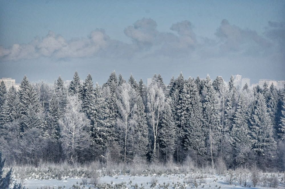 Photograph by Мария Путинцева