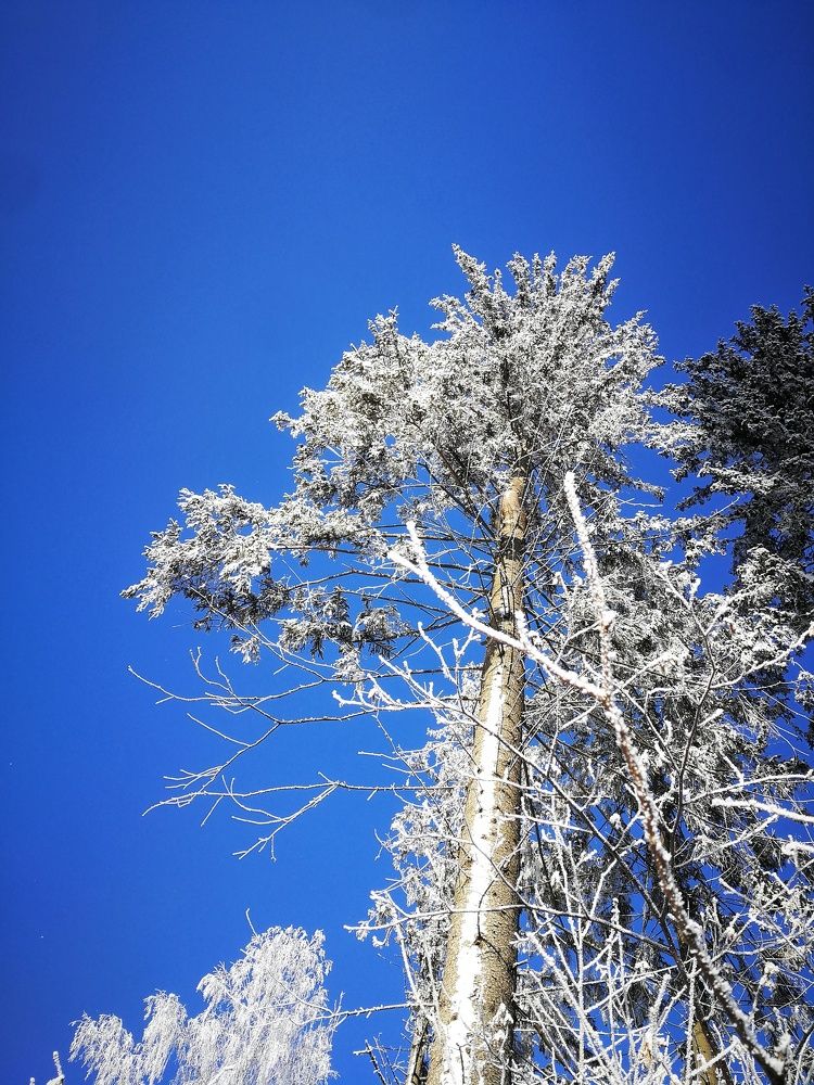 Photograph by Мария Путинцева