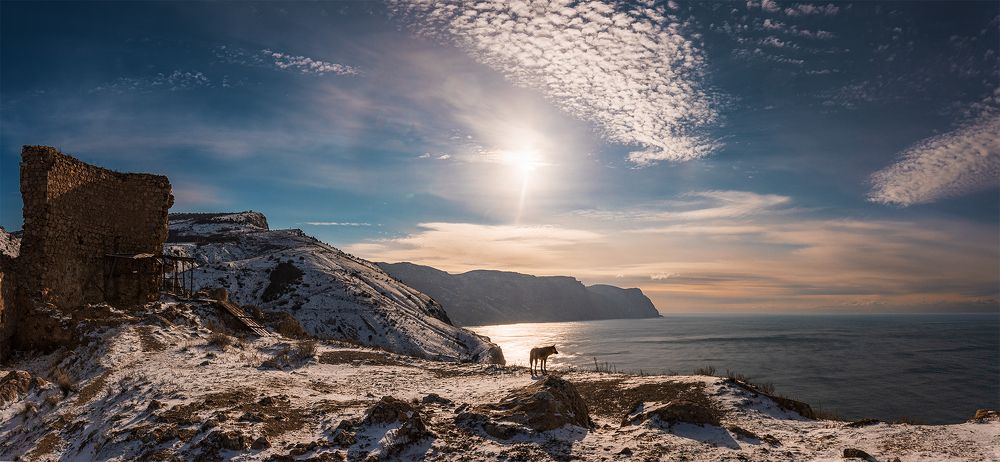 Photograph by Владимир Лысов