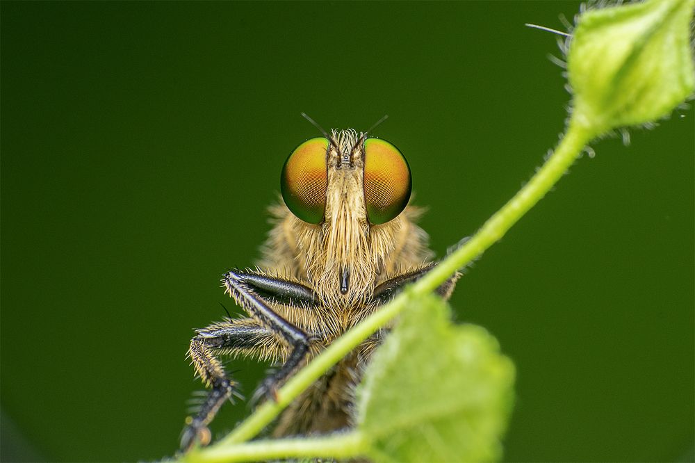 Photograph by Mukesh Tripathi