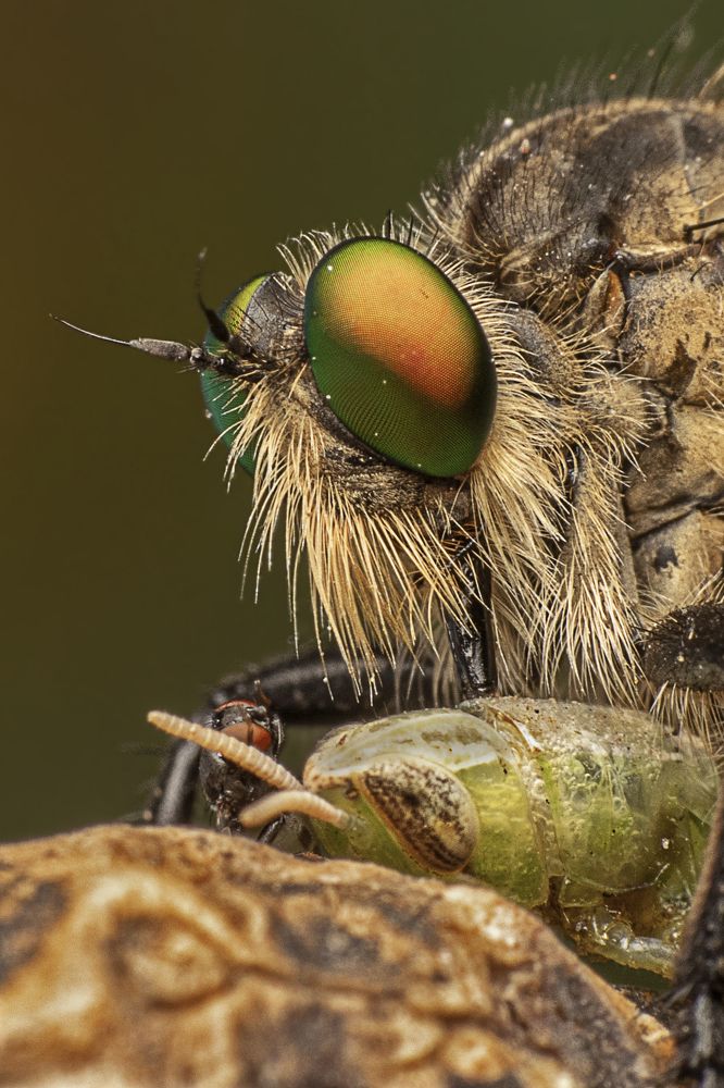 Photograph by Mukesh Tripathi