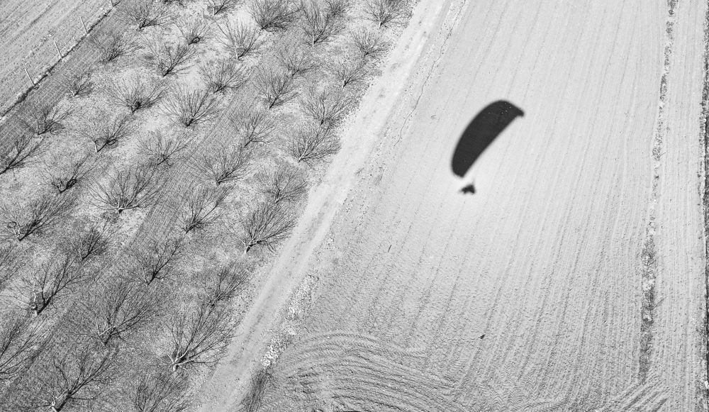 Photograph by amin Sharafiani