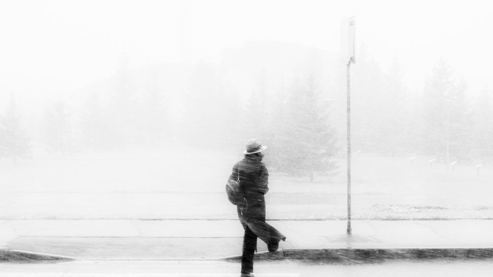 Photograph by Алиби Мукушев