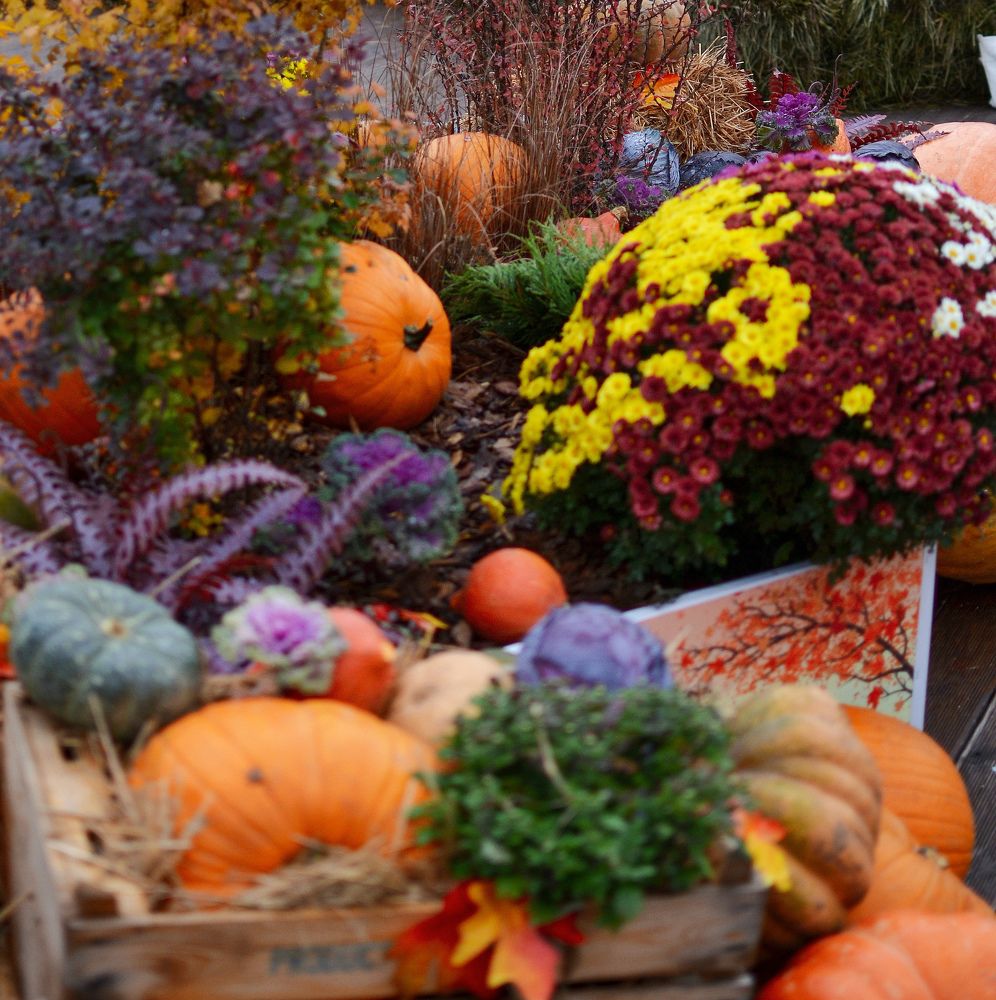 Photograph by Константин Бокарев