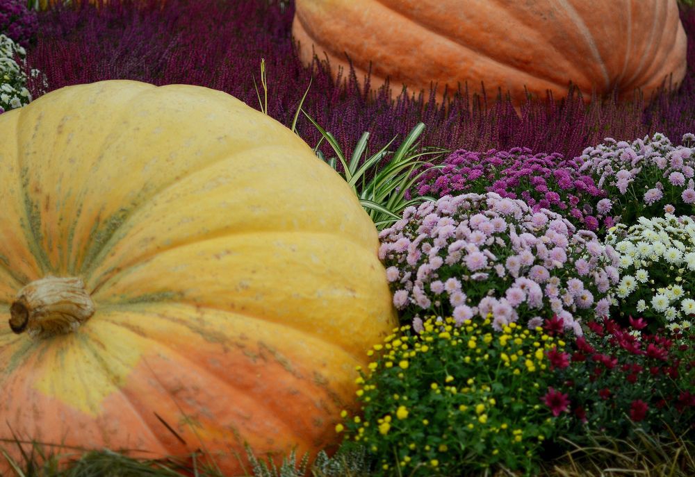 Photograph by Константин Бокарев