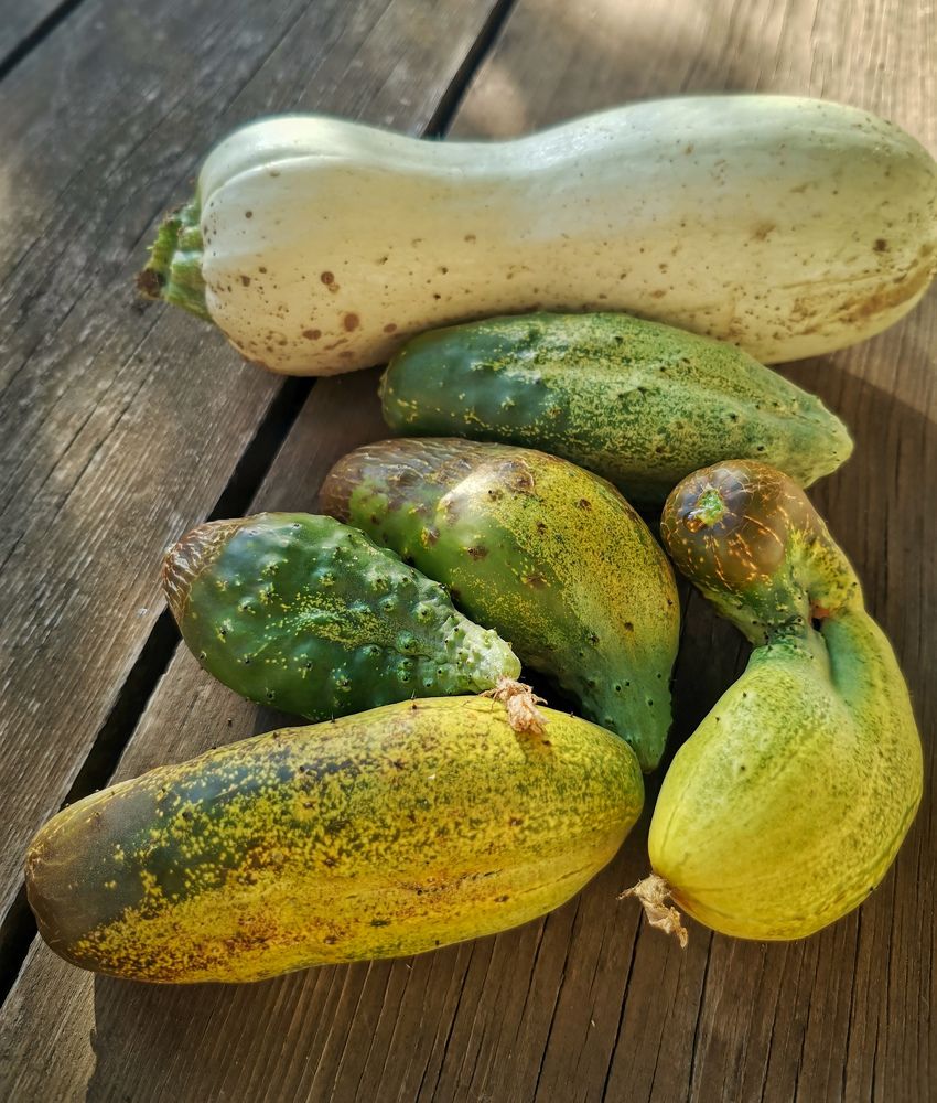 Photograph by Константин Бокарев