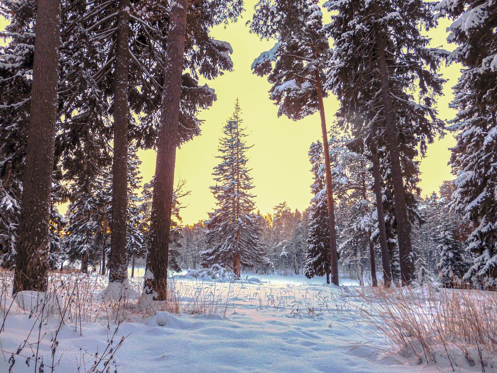 Photograph by Игорь Смирнов