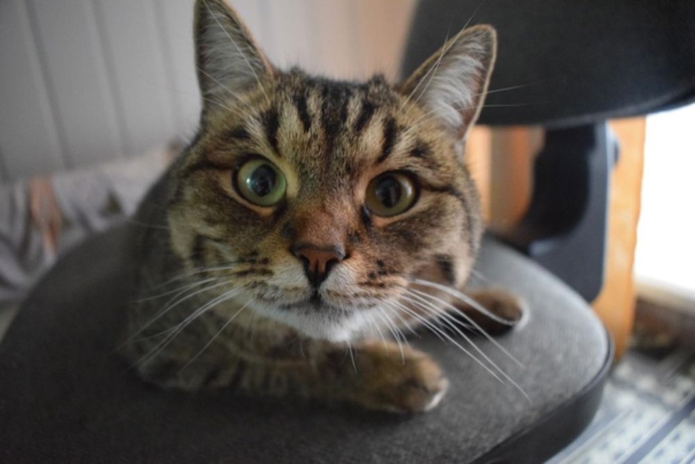 Photograph by Анастасия Игошина