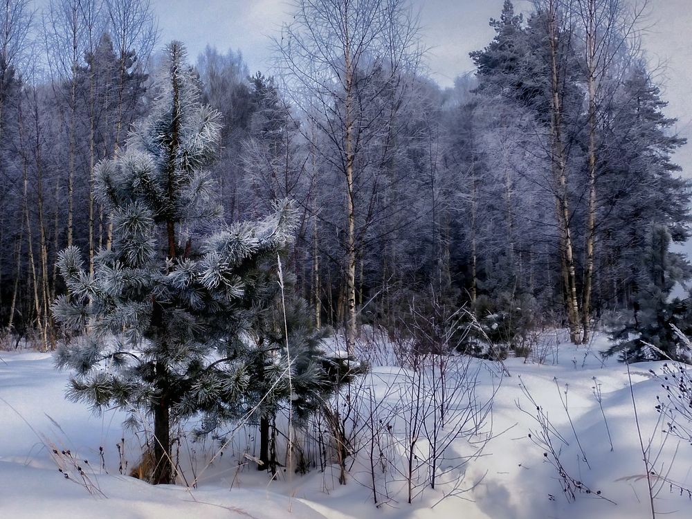 Photograph by Игорь Смирнов