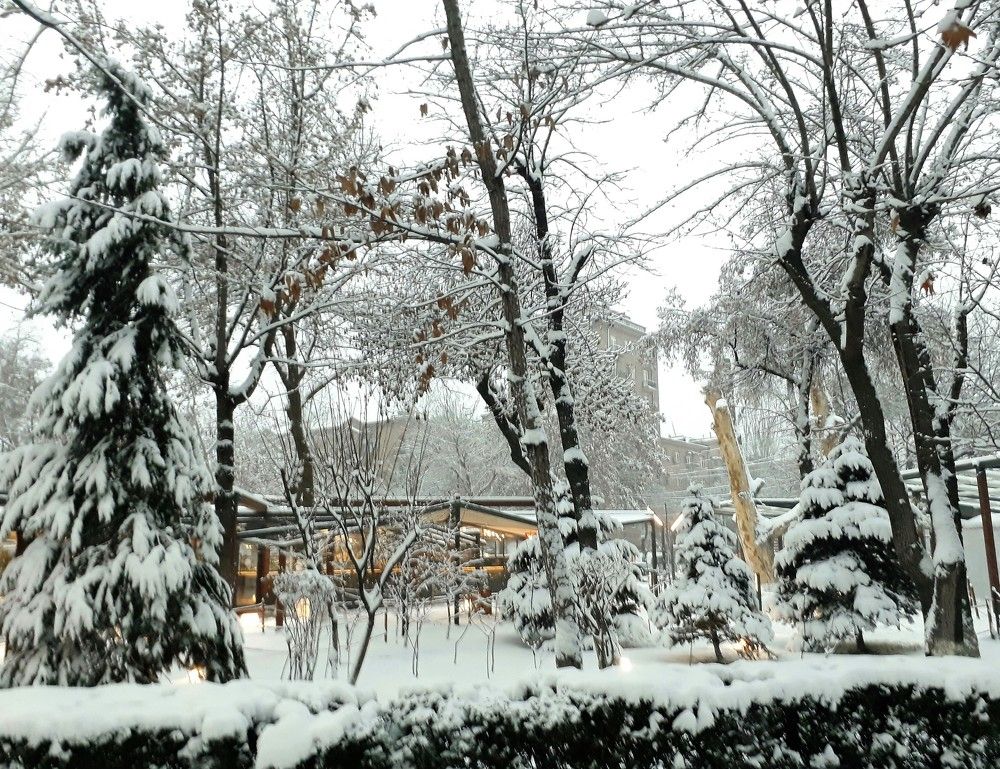 Зимняя сказка