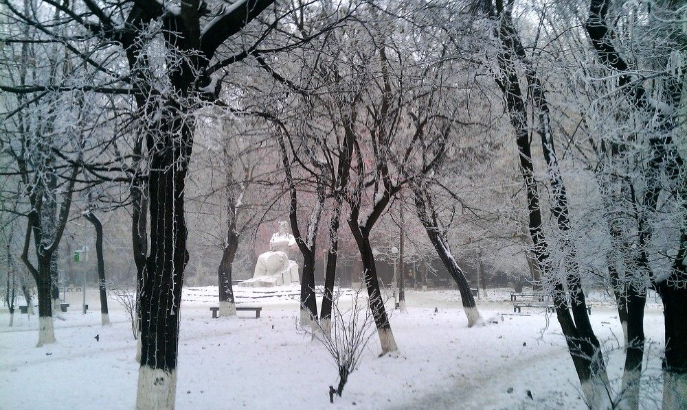 Зима Сарянском саду