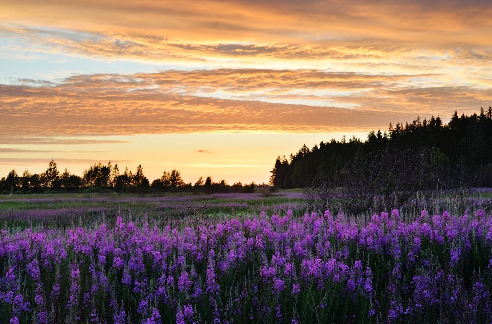 Photograph by Максим Мицун