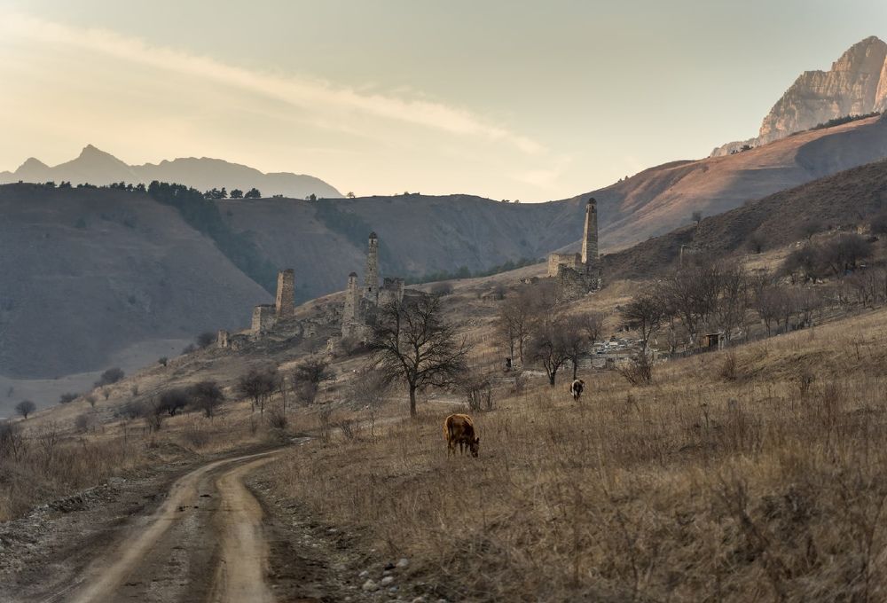 Photograph by Ирина Умиленко