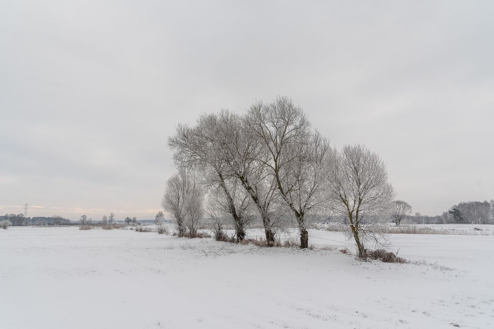 Winter on Kurpie in Poland