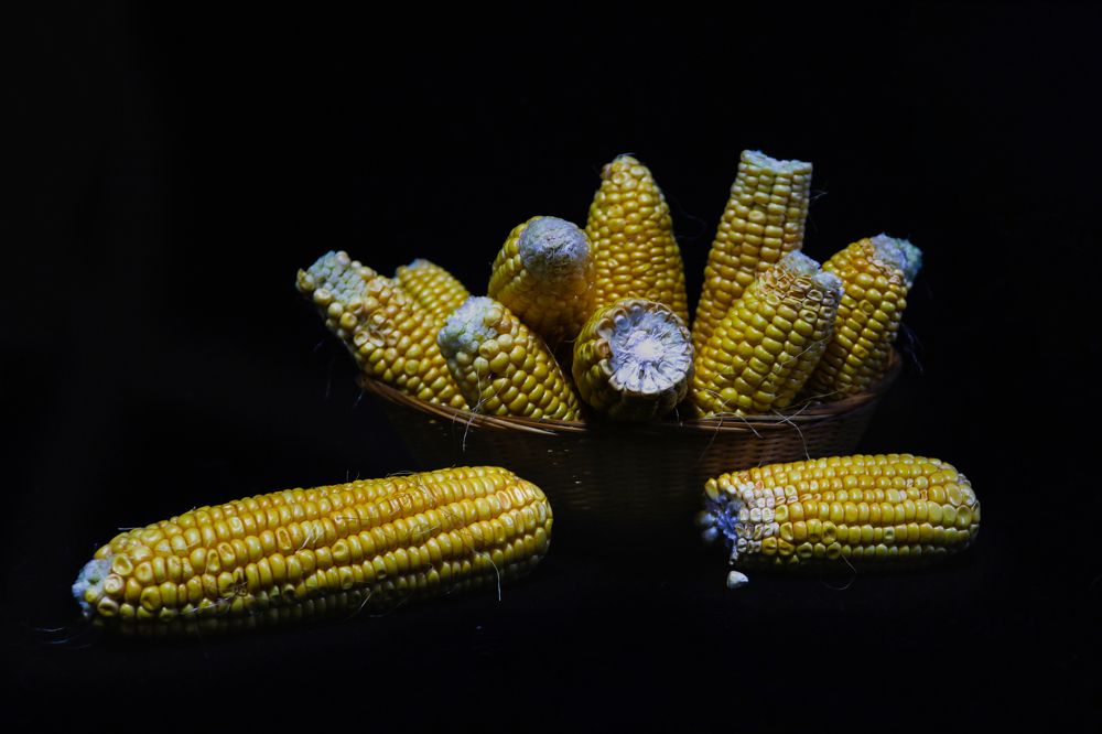 Photograph by Gonzalo Jorge Eduardo MARÓN