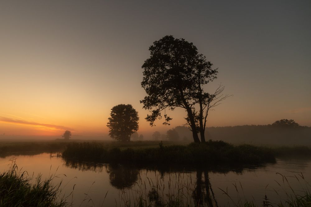 Photograph by Daniel Ejsymont