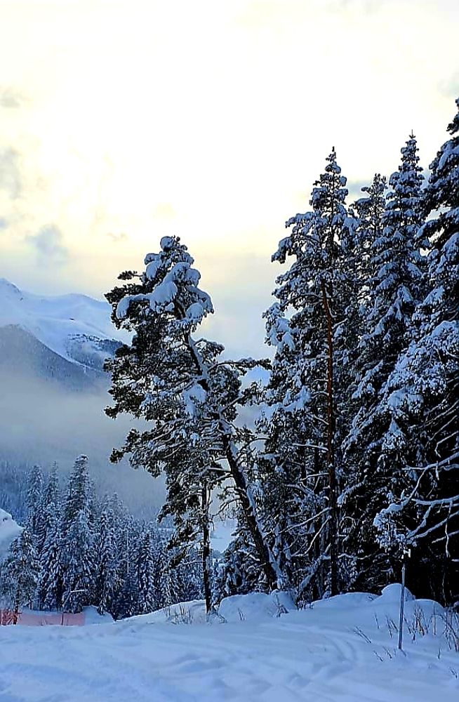 Романтик. Горнолыжный курорт. Архыз.
