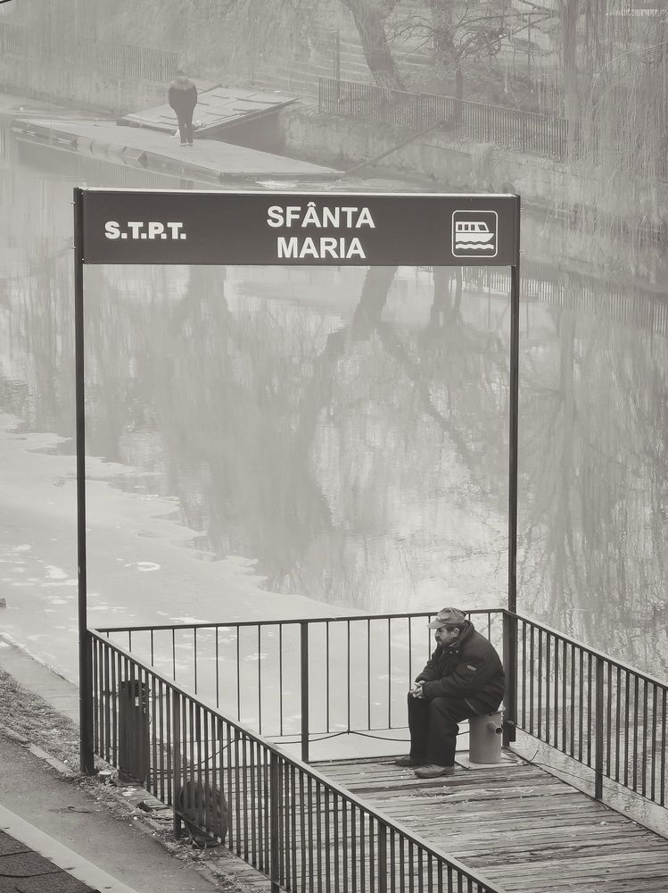 Photograph by Silviu Nastase