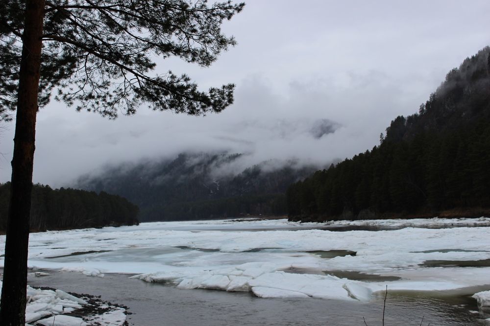 Photograph by Татьяна Решетова