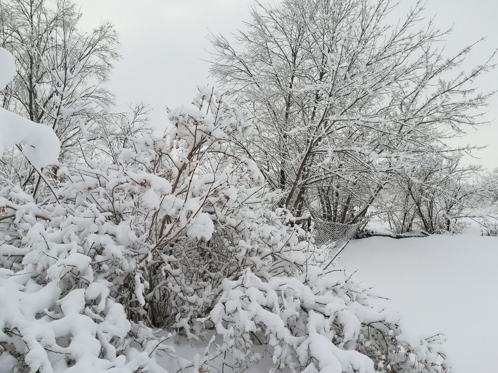 Photograph by Татьяна Решетова