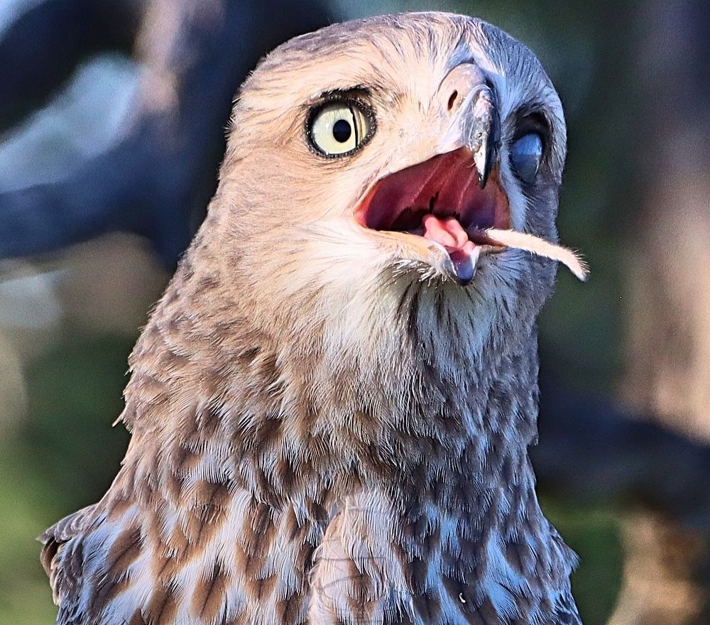 Photograph by Jacques Nel