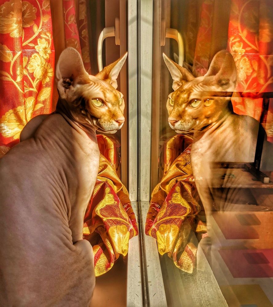 Photograph by Николай