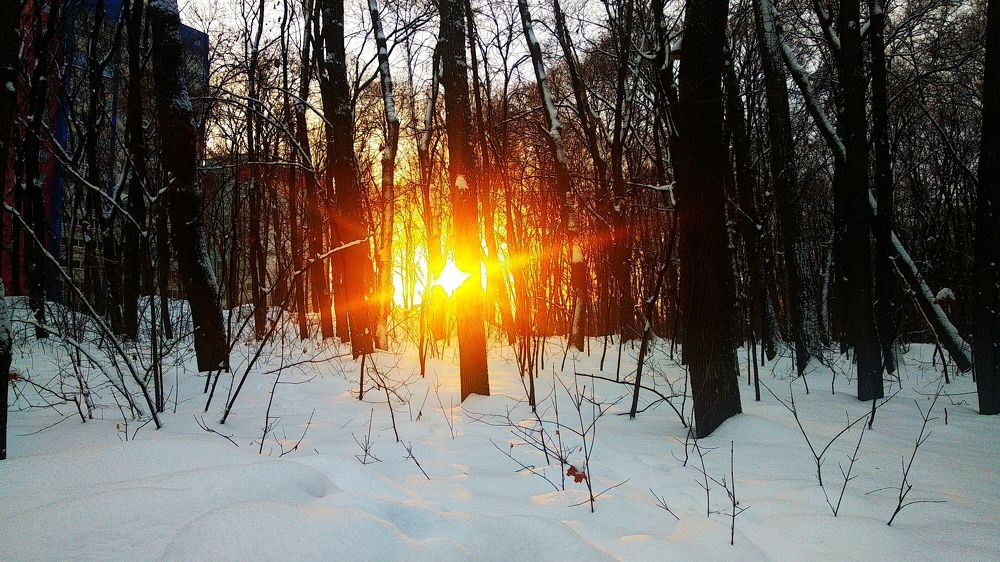 Photograph by Виталий Фролов