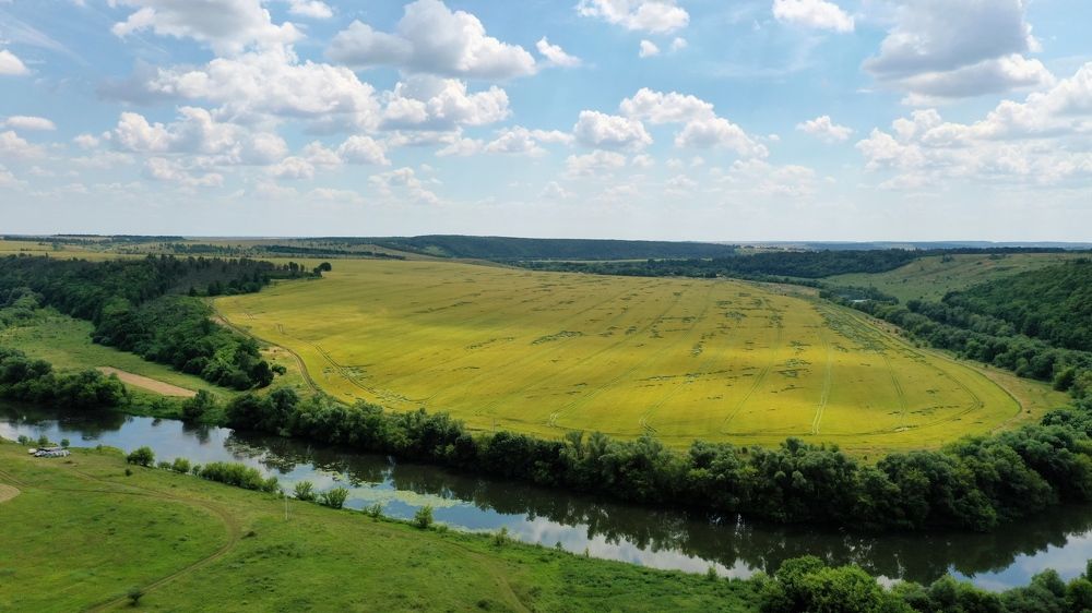 Photograph by Елена