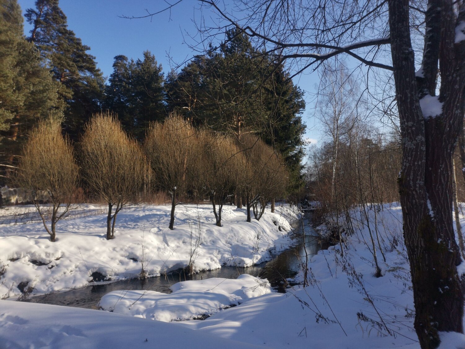 Photo #5928081