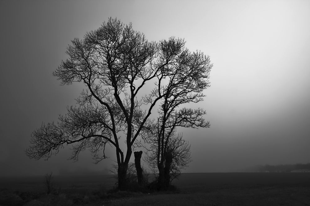 Photograph by PHILIPPE SEGUELA