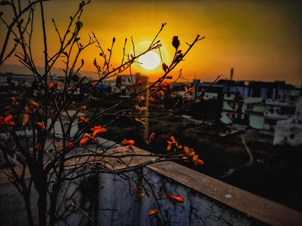 Photograph by Nangsankupar Syiemiong