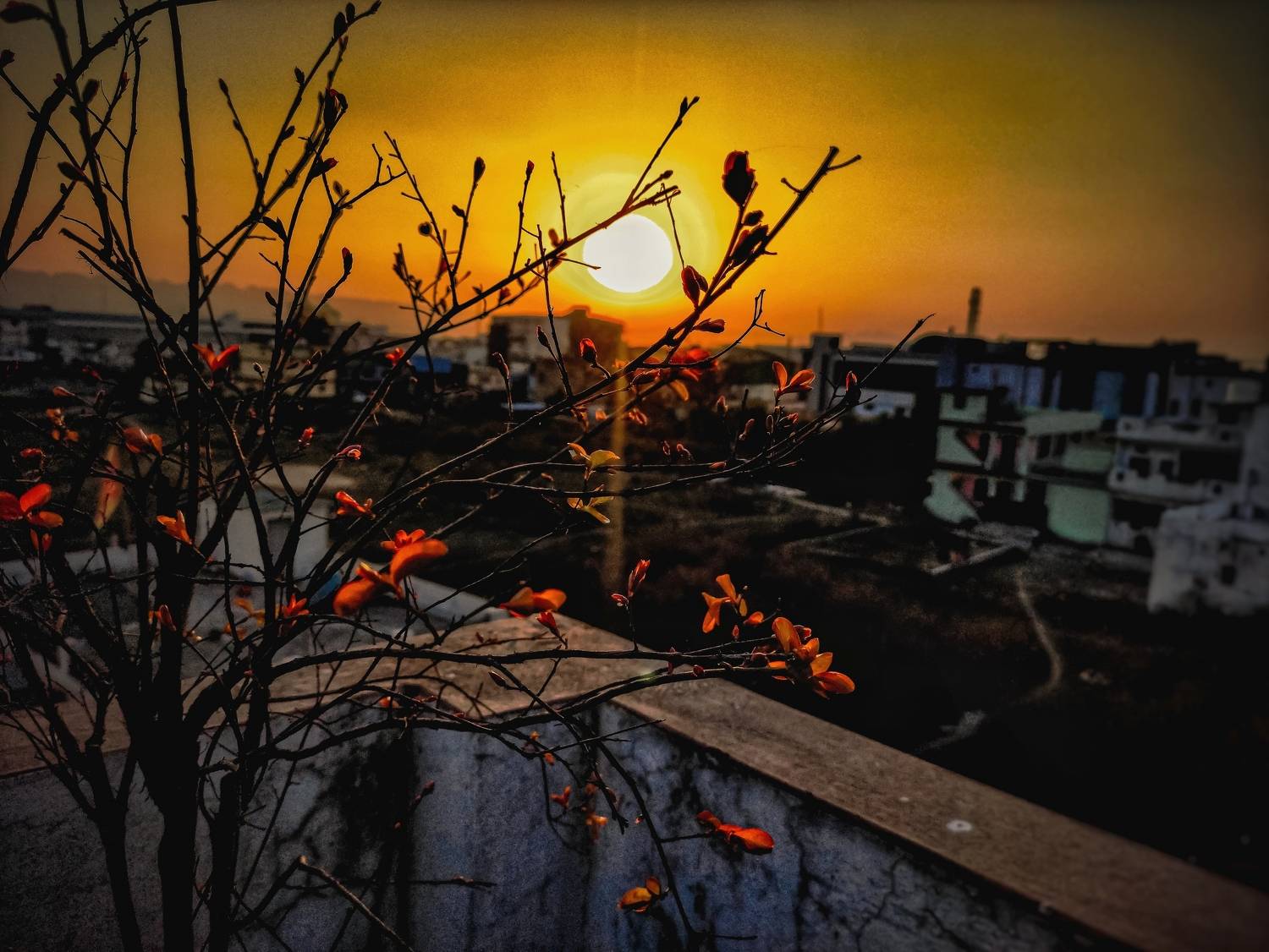 Photo #5928157