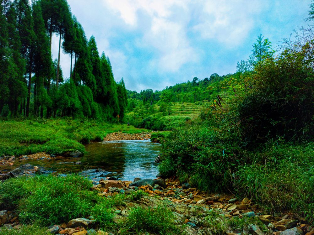 Photo #5928161