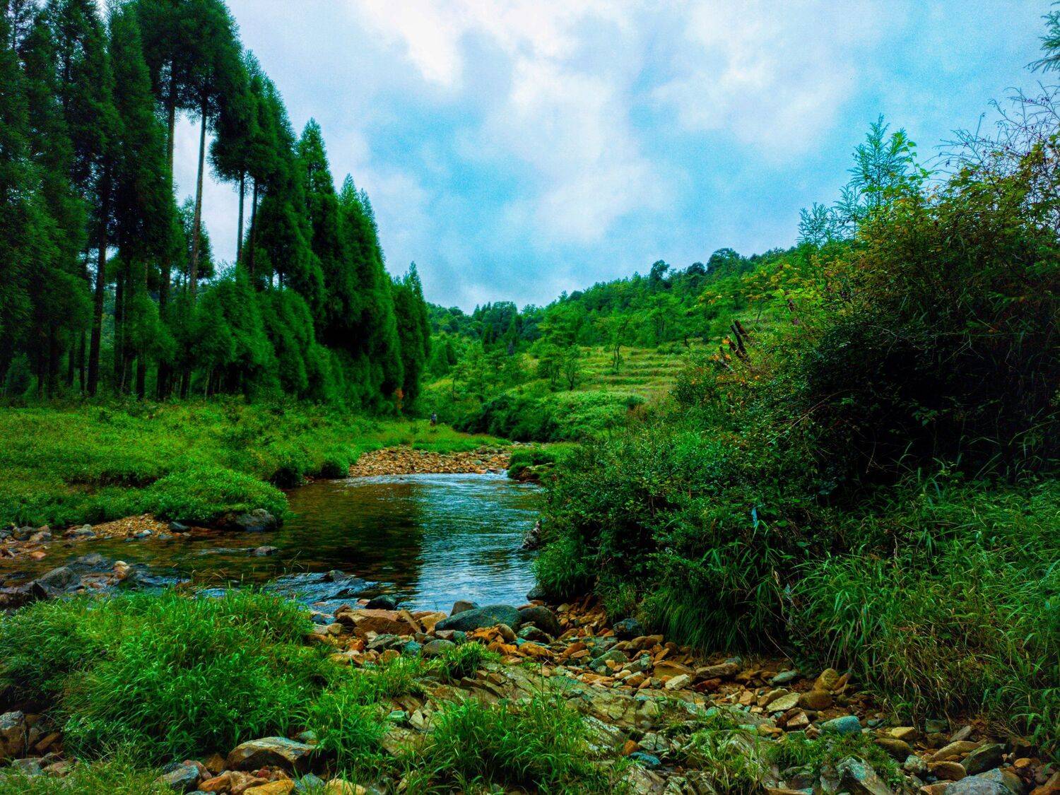 Photo #5928161