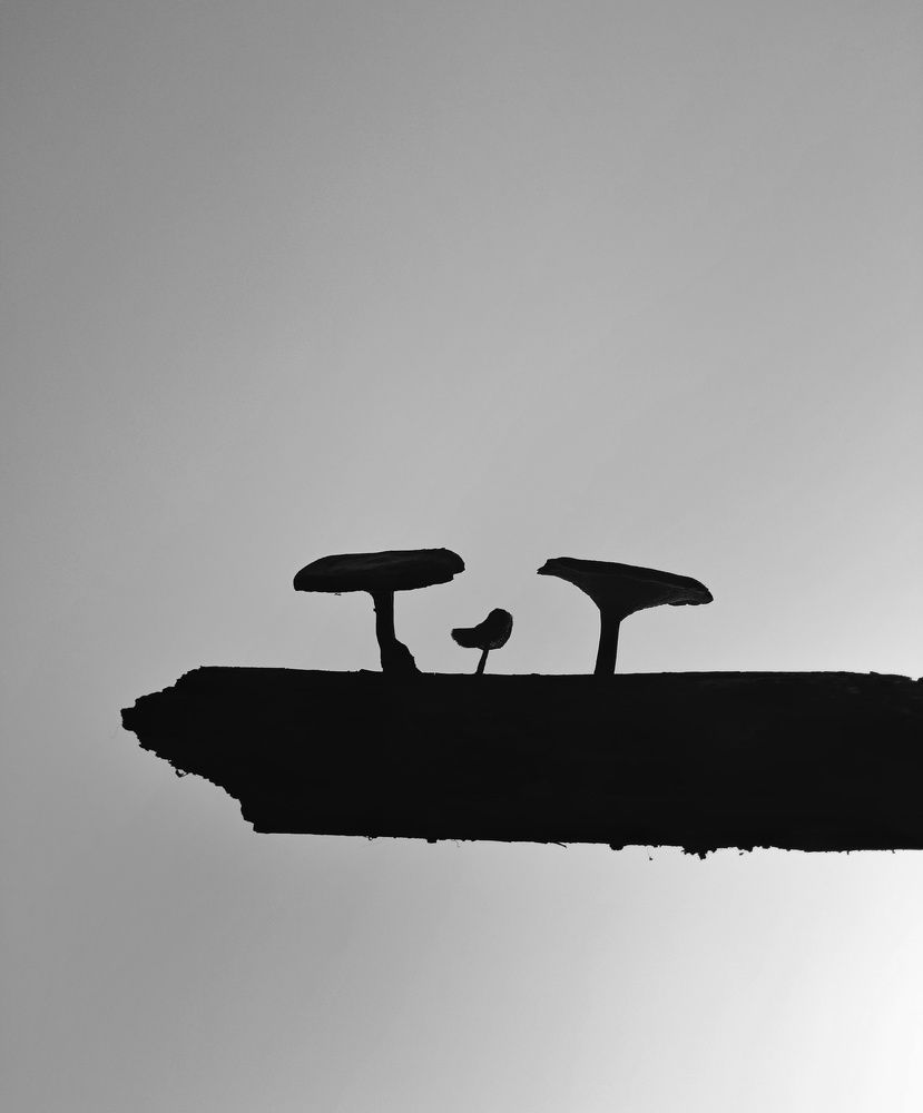 Photograph by Neda Petrovic