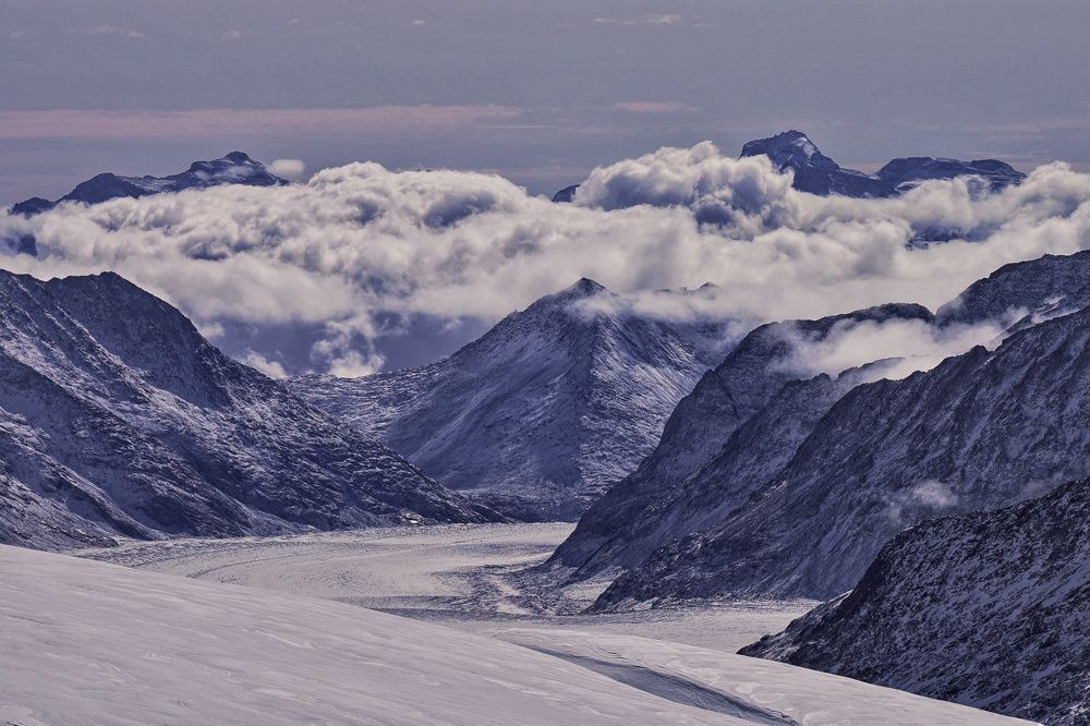 Photograph by Souvik DEY