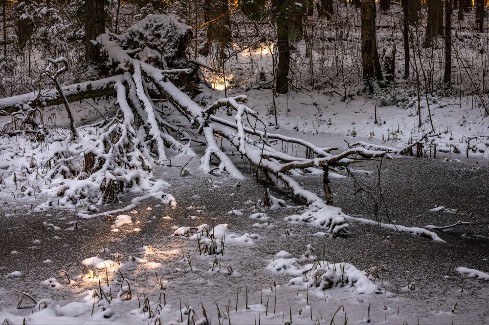 Воспоминание о Зиме.