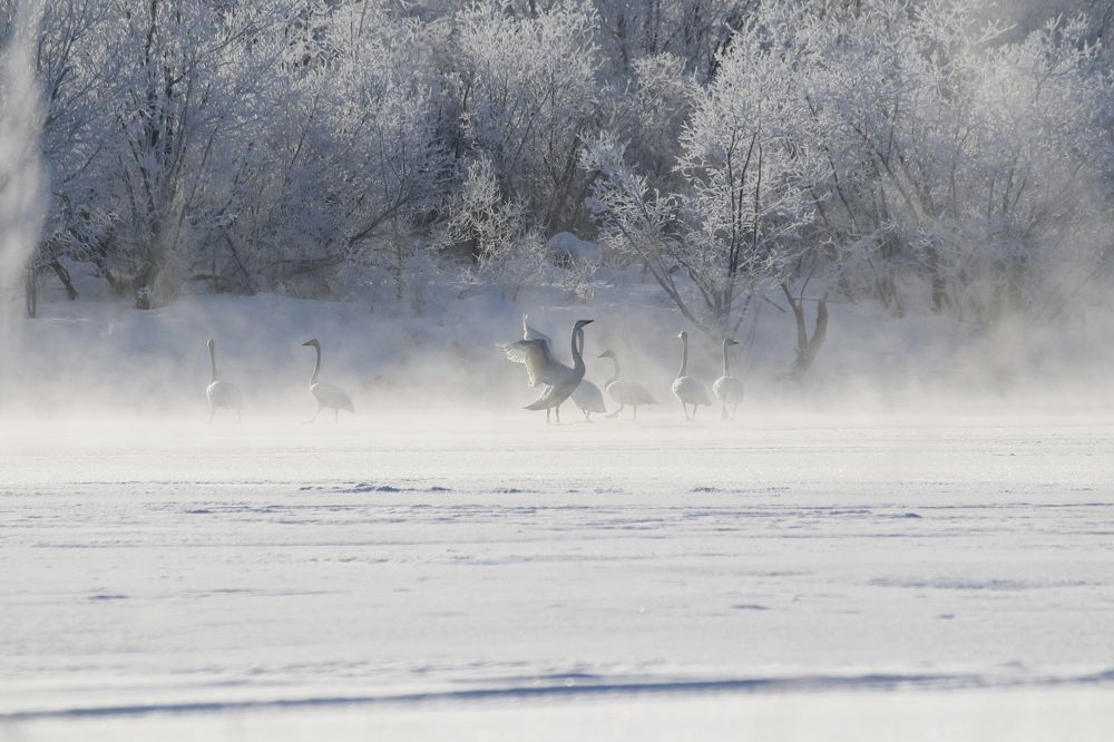 Photograph by Наталья Турчик