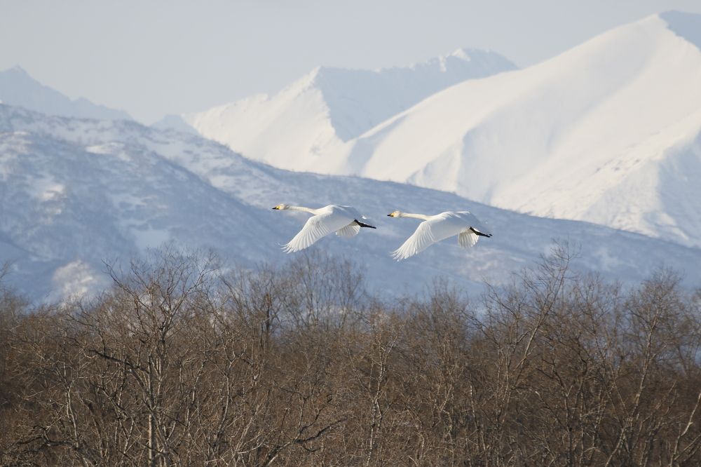 Photograph by Наталья Турчик