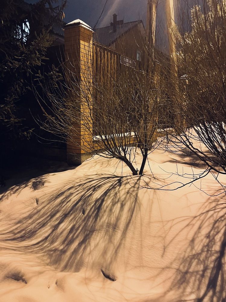 Photograph by Лариса Голованова