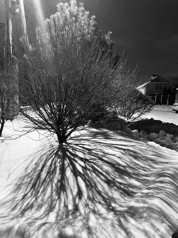 Photograph by Лариса Голованова