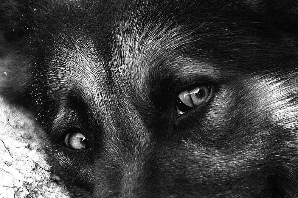 Photograph by Ольга Алексейчик