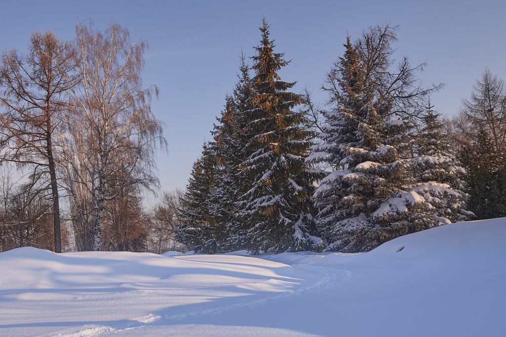 Накануне весны